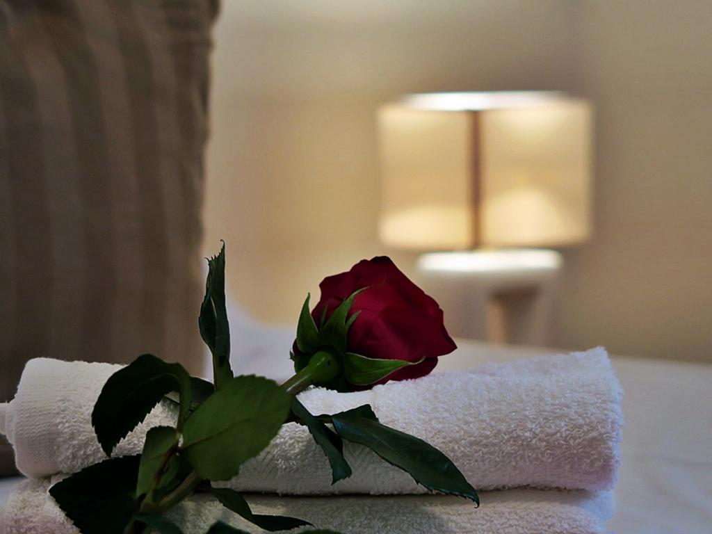 Apartments Estrella Dubrownik Zewnętrze zdjęcie